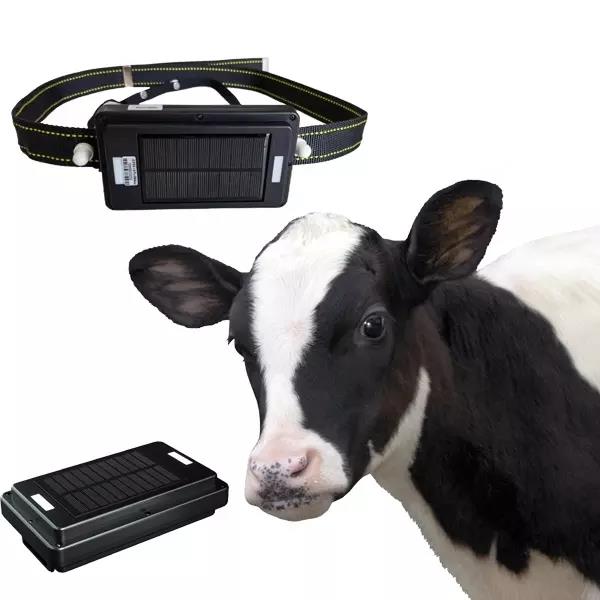 Animal Gps Tracker 4G Solar - 4G Solar Panel Charging GPS Tracker