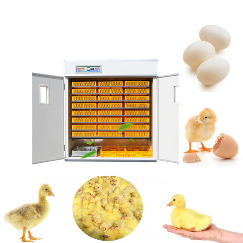 Poultry Incubator 96 Eggs - Automatic Egg Incubator, Digital Control, Temperature