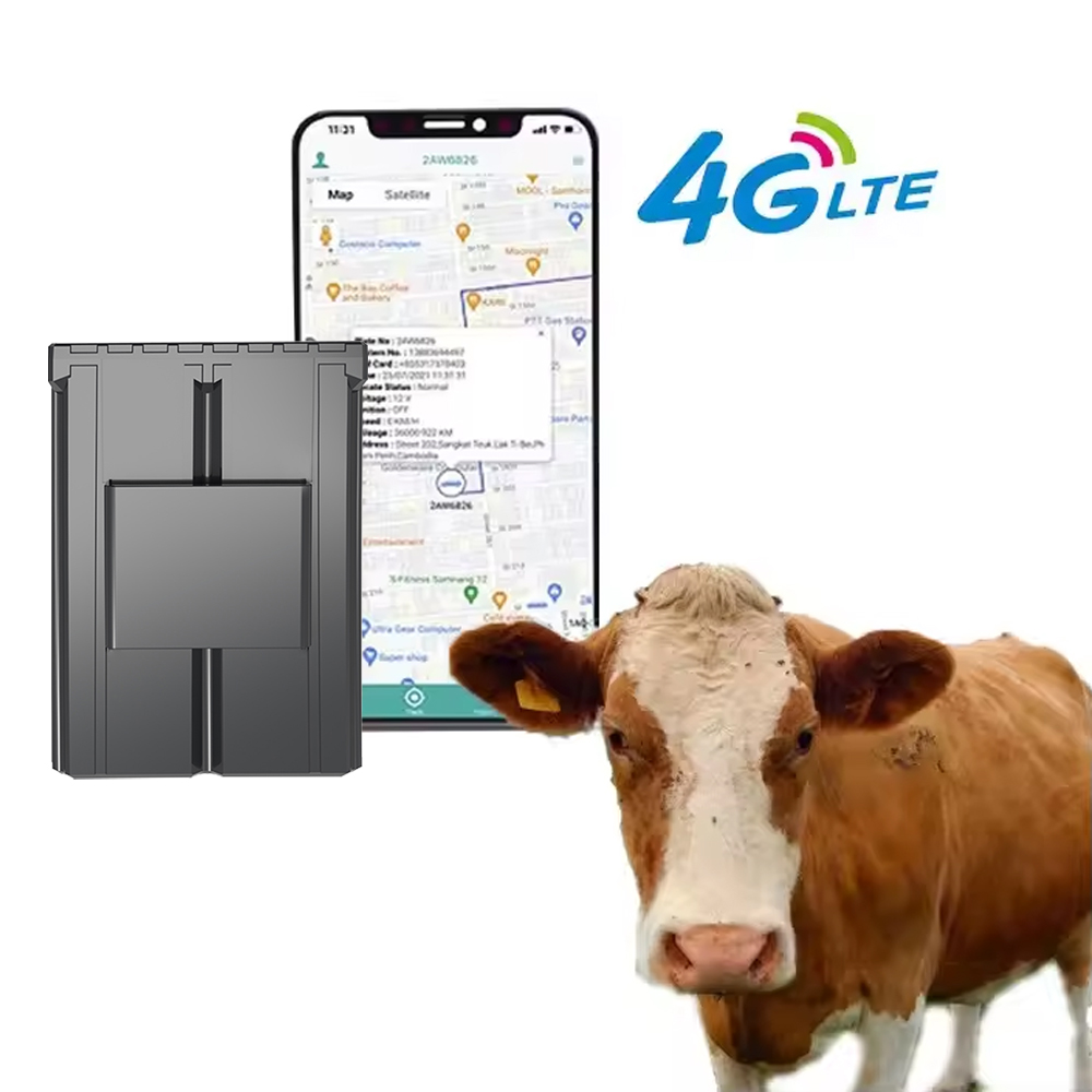 Animal Gps Tracker 4G Solar - Custom Ear Tag Gps Cattle Trackers