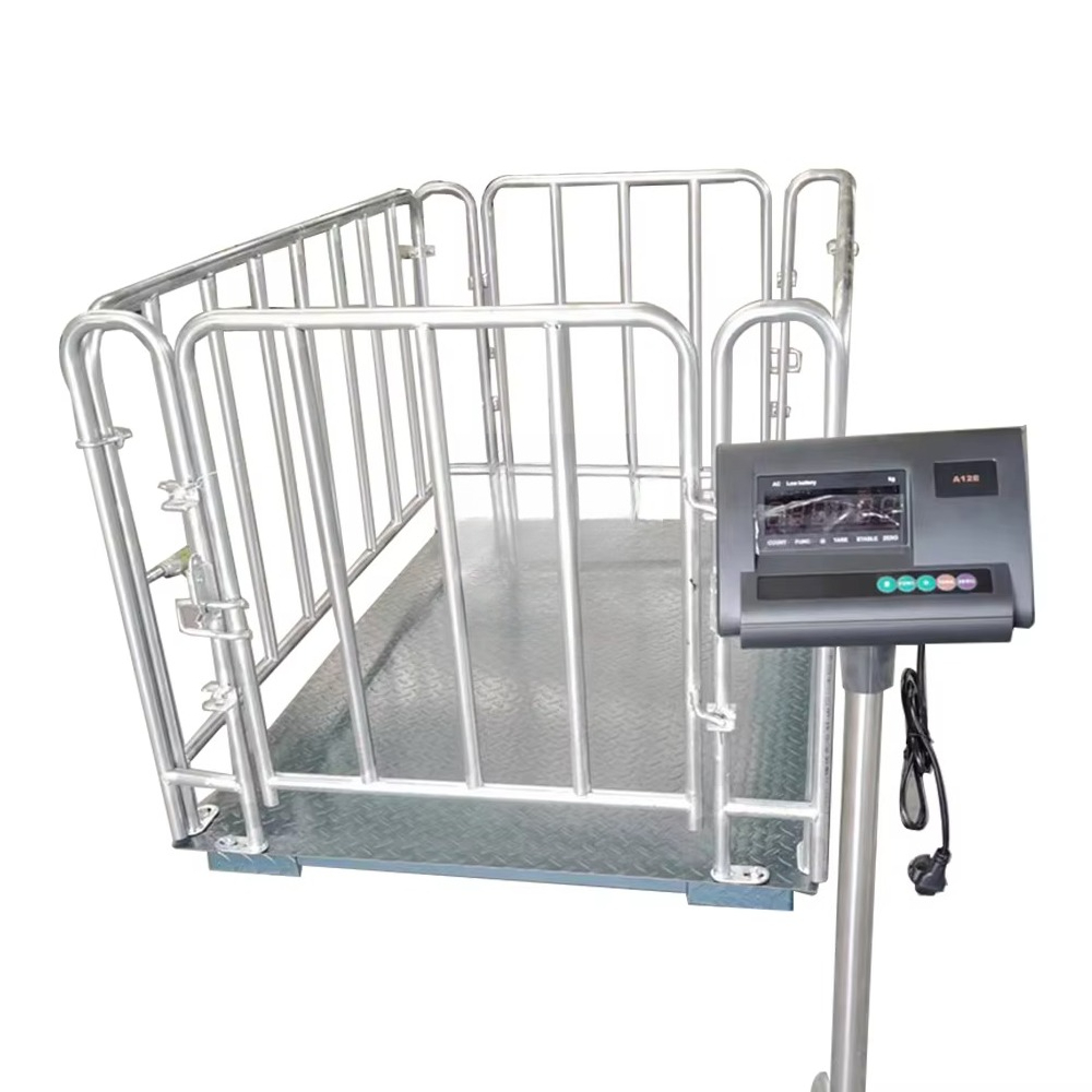 Cattle Weighing Scale Digital - Digital Platform Weighing Scale for Cattle