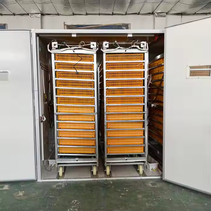 Incubator, Automatic Poultry H - Poultry Incubator 96 Eggs ulasan dan harga