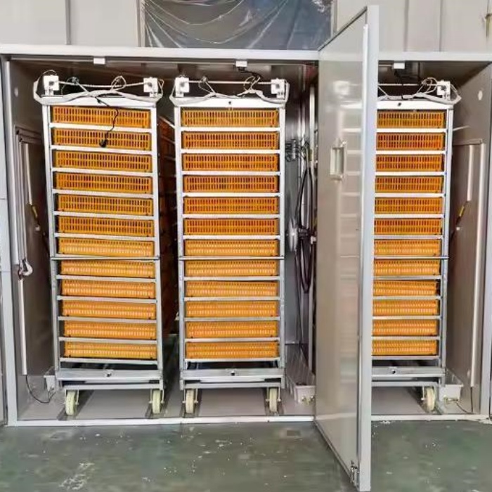 Incubator, Automatic Poultry H - Poultry Incubator 96 Eggs ulasan dan harga