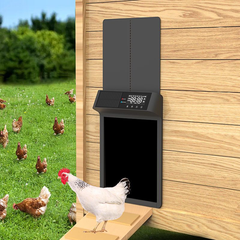Solar Powered Chicken Door Fen - Automatic Chicken Door Opener Solar ulasan dan harga