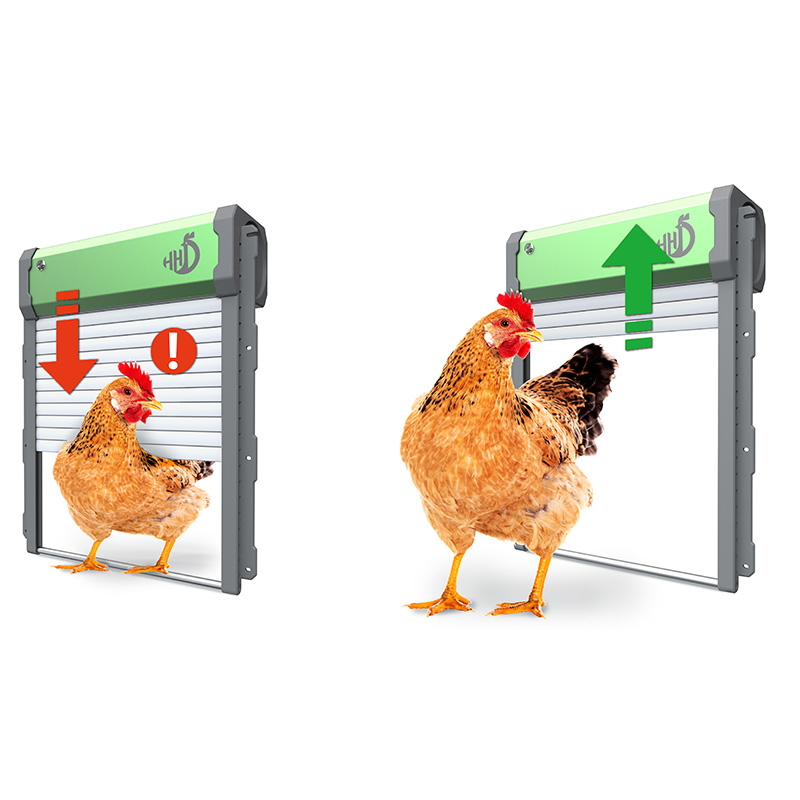 WONEGG Smart APP Automatic Chi - Automatic Chicken Door Opener Solar ulasan dan harga