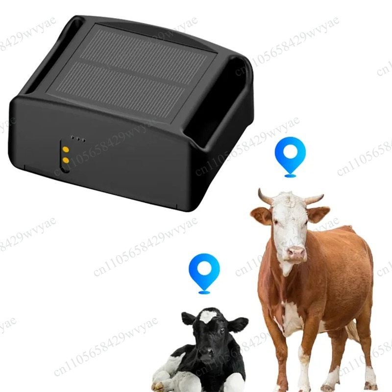 4G GPS Cattle Sheep Tracker, S - Animal Gps Tracker 4G Solar ulasan dan harga