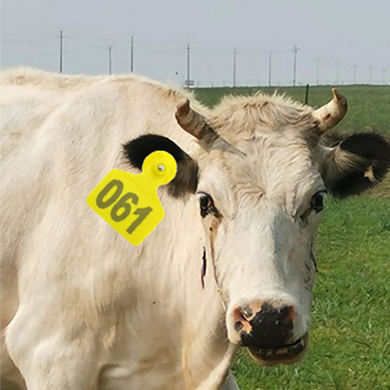 Plastic TPU Identification Lab - Cattle Ear Tag Applicator ulasan dan harga