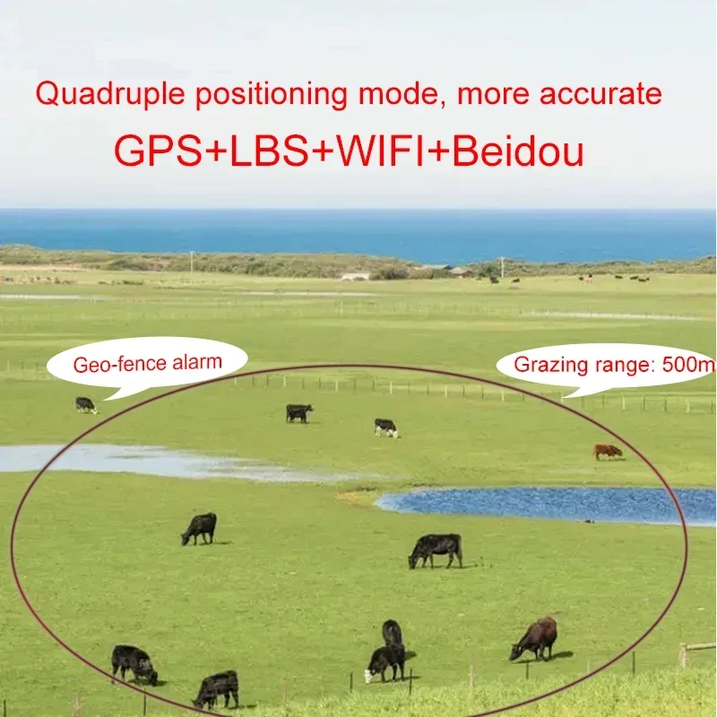 4G Solar Cow Real Time Locator - Animal Gps Tracker 4G Solar ulasan dan harga