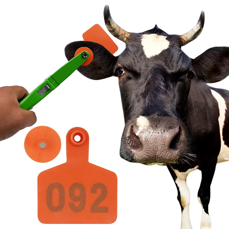 100Pcs Livestock Cattle Goat E - Cattle Ear Tag Applicator ulasan dan harga