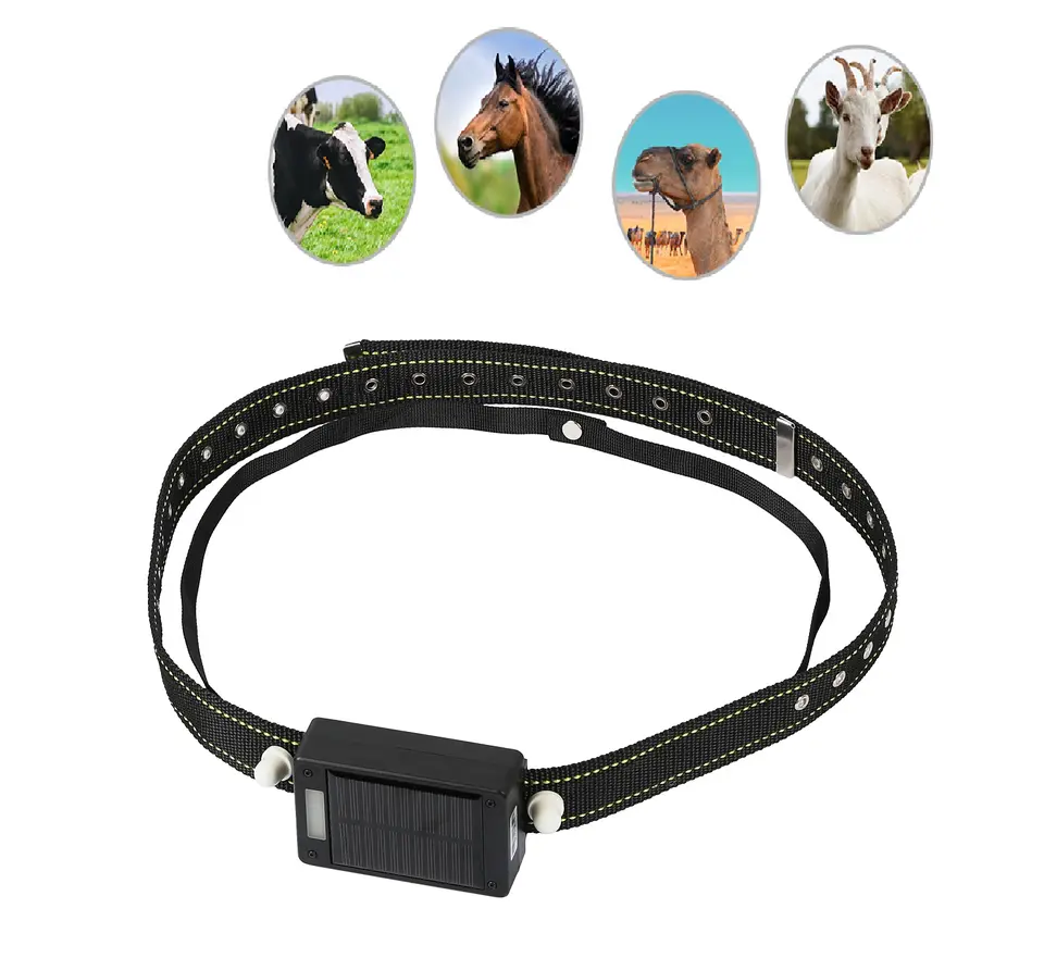 10000mAh Solar Panel GPS Track - Animal Gps Tracker 4G Solar ulasan dan harga