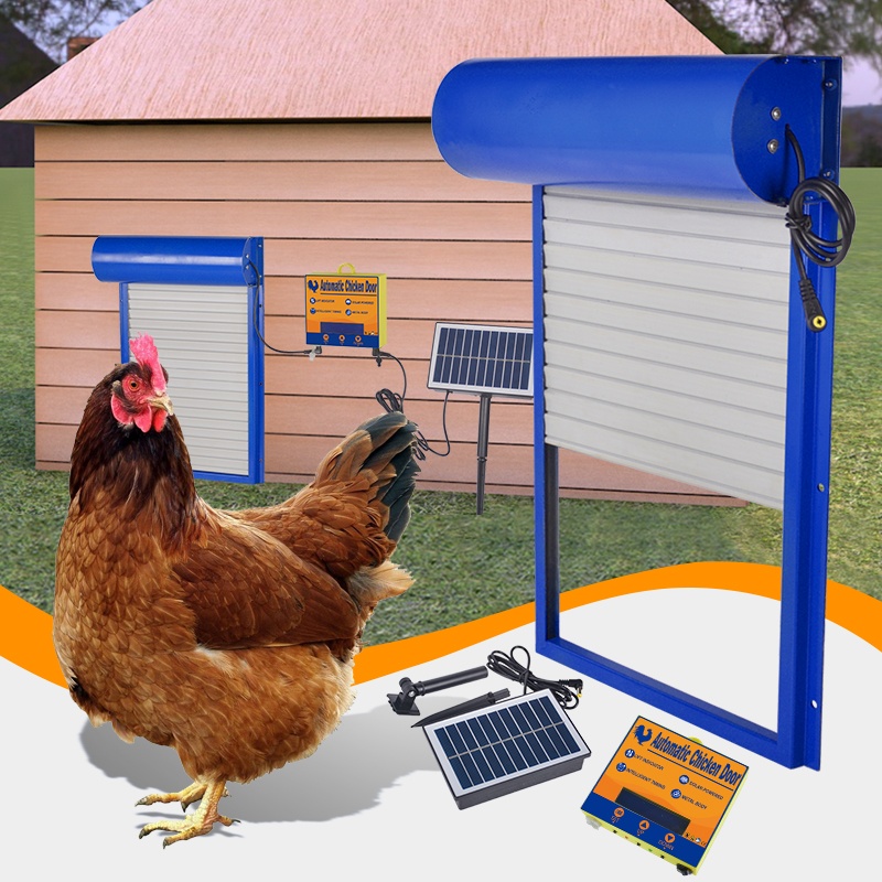 Automatic Solar Chicken Coop D - Automatic Chicken Door Opener Solar ulasan dan harga