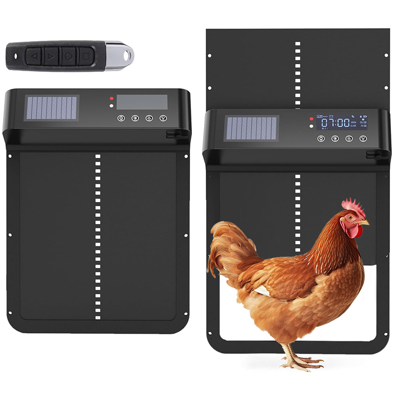 Automatic Luxury Chicken Coop  - Automatic Chicken Door Opener Solar ulasan dan harga
