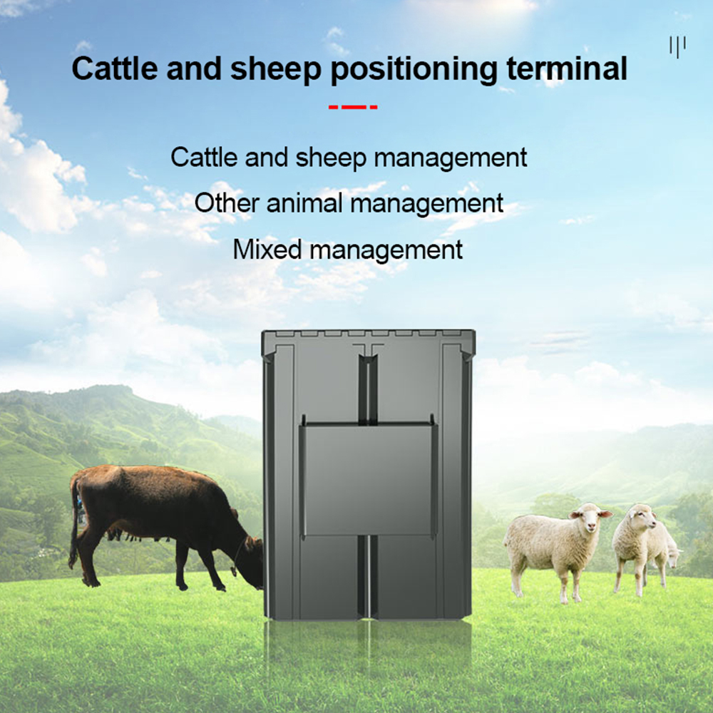 Custom Ear Tag Gps Cattle Trac - Animal Gps Tracker 4G Solar ulasan dan harga