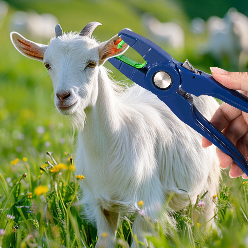 100pcs Integrated Sheep Ear Ta - Cattle Ear Tag Applicator ulasan dan harga