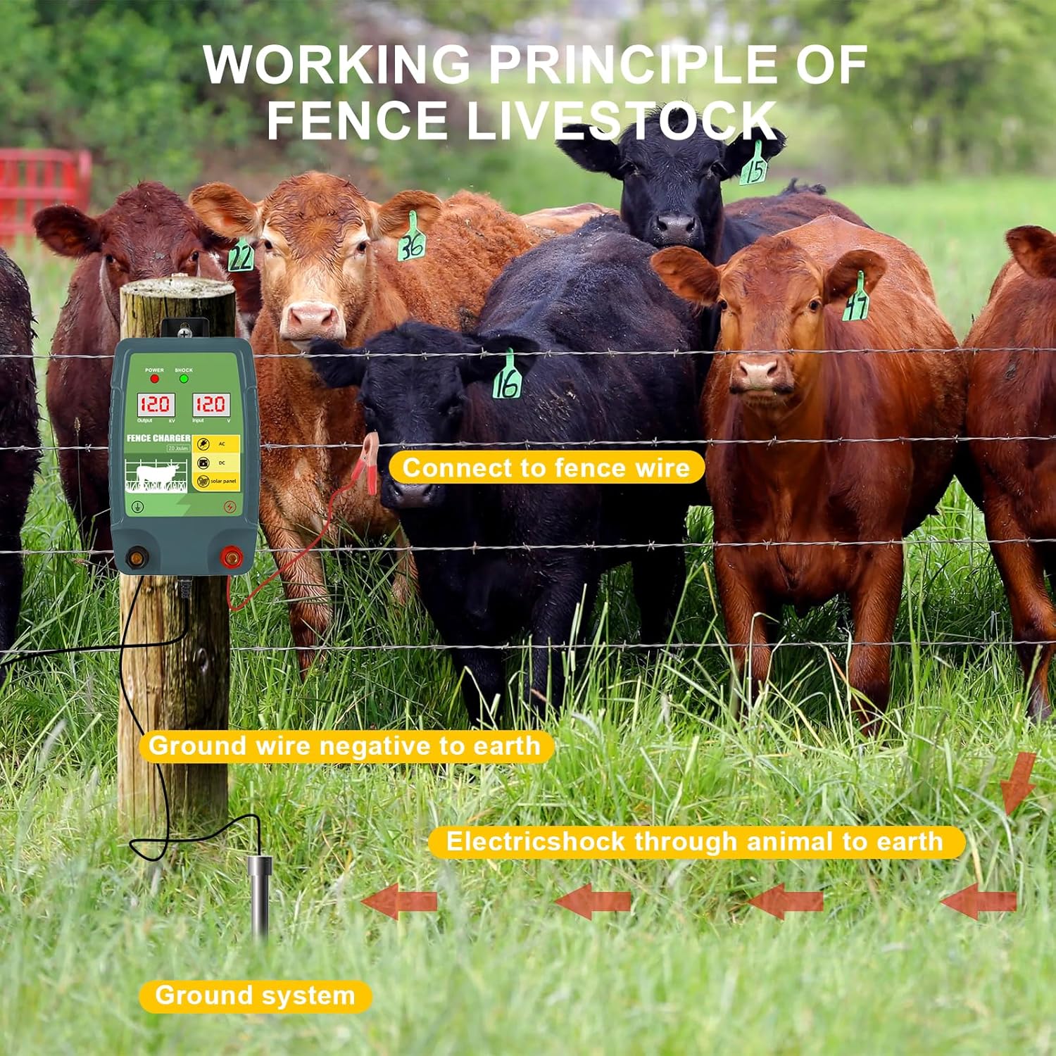 12KM High voltage Electric Fen - Livestock Fence Energizer 12V ulasan dan harga