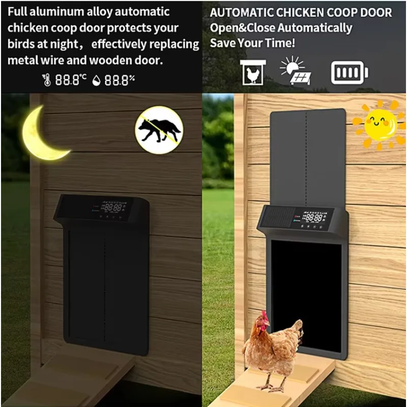 2026/Automatic Chicken Coop Do - Automatic Chicken Door Opener Solar ulasan dan harga