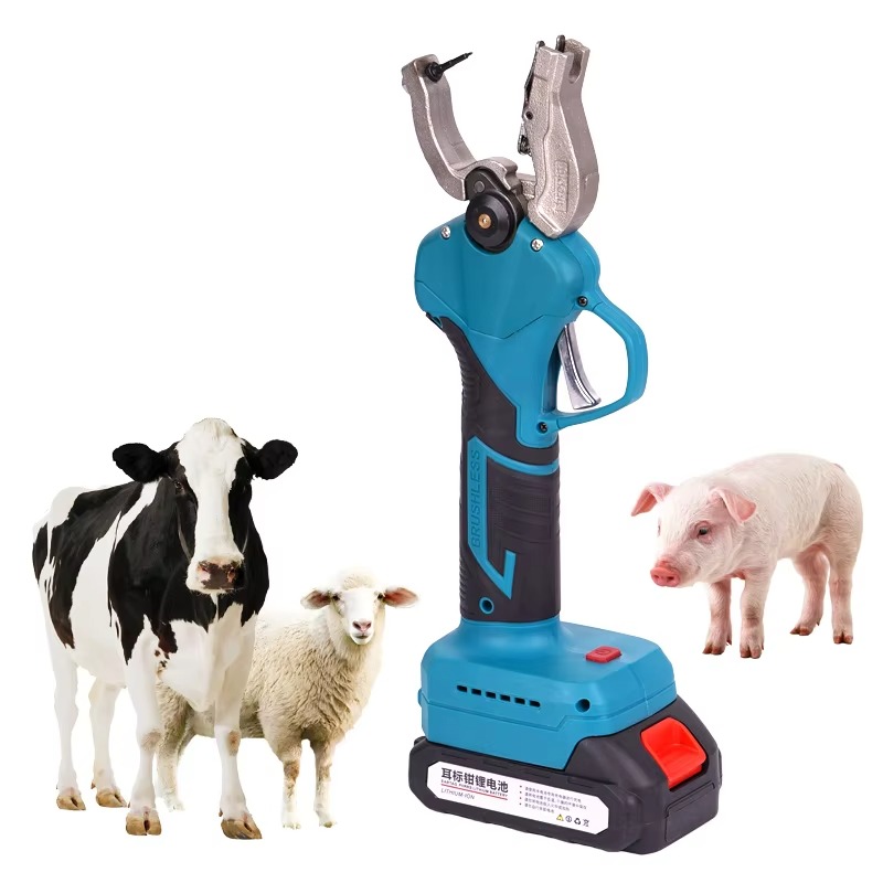 Animal Ear Tag Applicator Live - Cattle Ear Tag Applicator ulasan dan harga