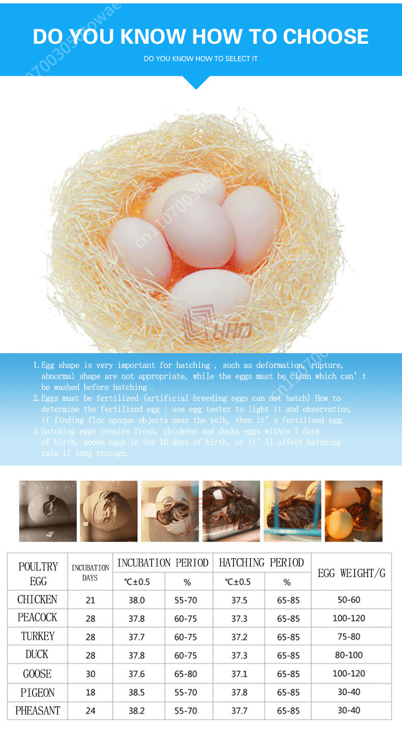 Automatic 96 Eggs Incubator fo - Poultry Incubator 96 Eggs ulasan dan harga