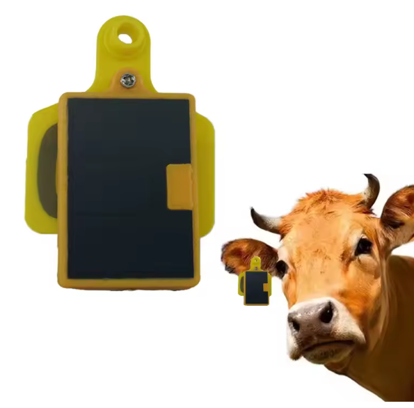 Ear Tag Solar Panel GPS Tracke - Livestock Ear Tag Gps Tracker ulasan dan harga