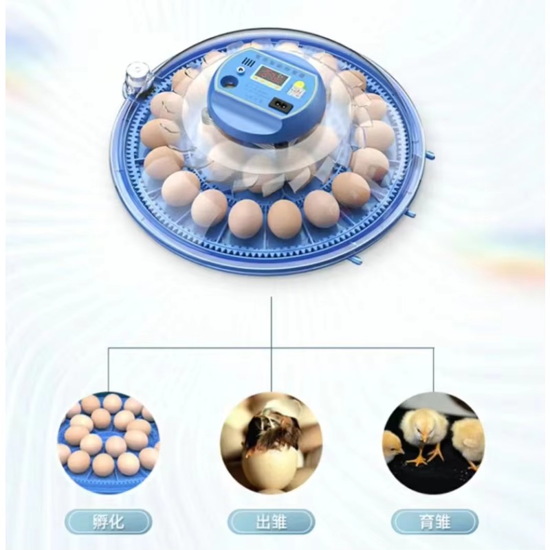 20/24/36/56/96/112 Eggs  Qianq - Poultry Incubator 96 Eggs ulasan dan harga