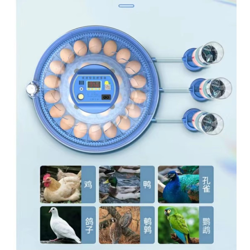 20/24/36/56/96/112 Eggs  Qianq - Poultry Incubator 96 Eggs ulasan dan harga