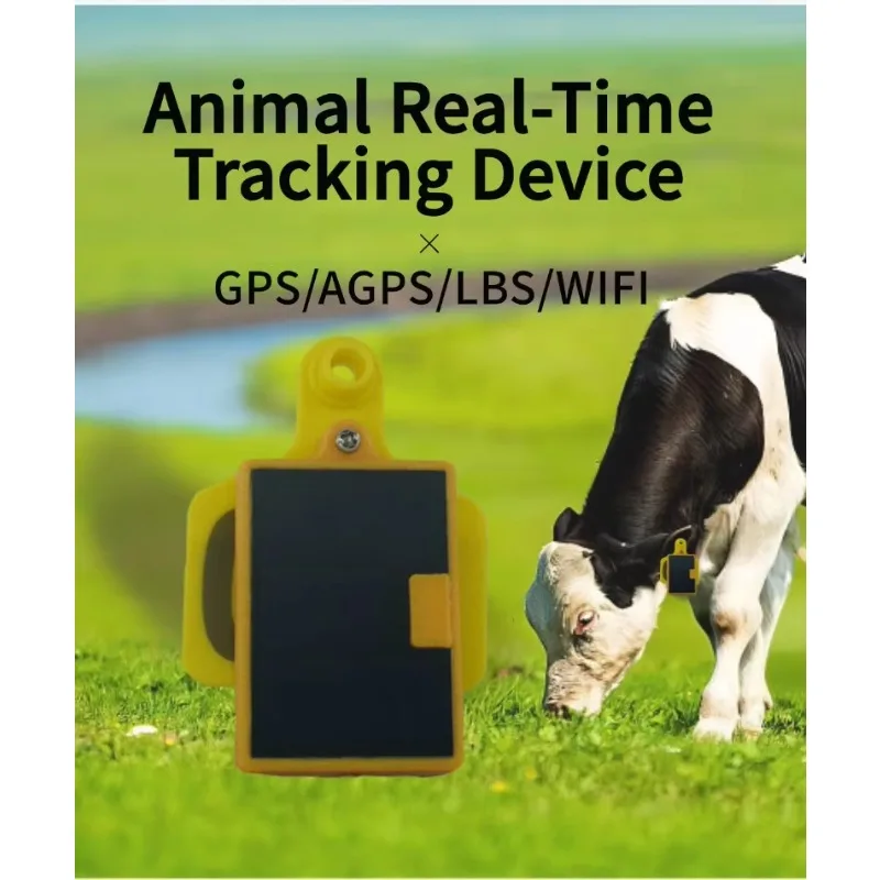 QZY Ranch Management System IP - Animal Gps Tracker 4G Solar ulasan dan harga