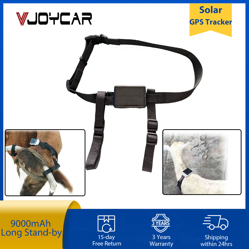 Cow Sheep GPS Tracker 3G 2G 4G - Animal Gps Tracker 4G Solar ulasan dan harga