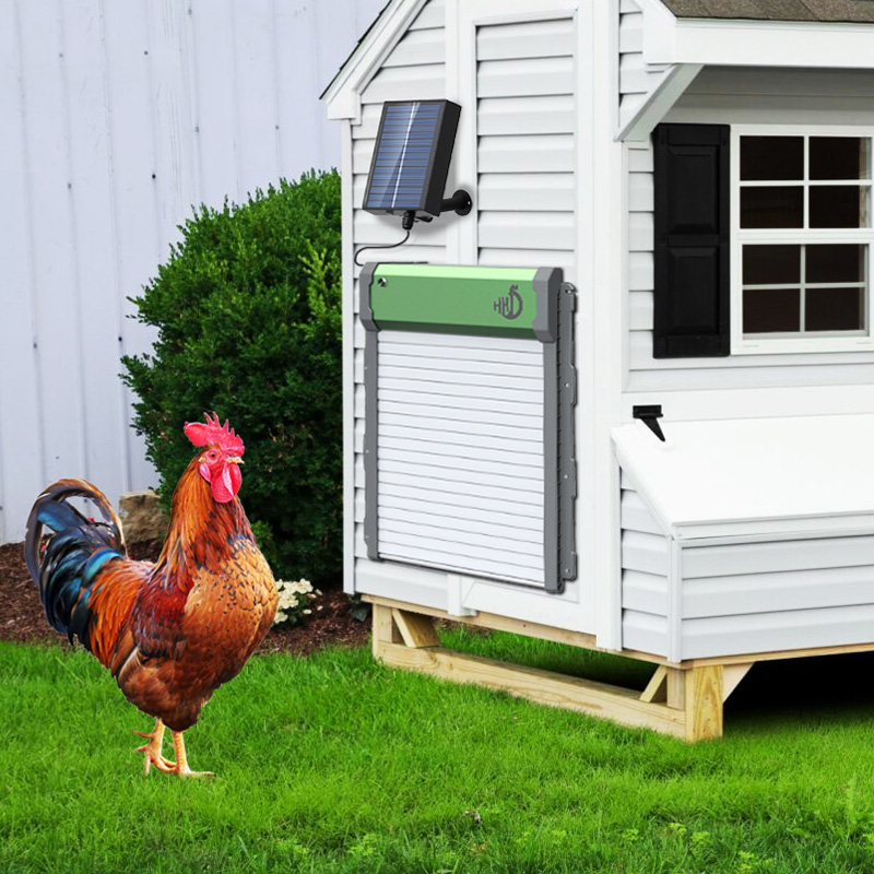 HHD Solar Powered Auto Chicken - Automatic Chicken Door Opener Solar ulasan dan harga