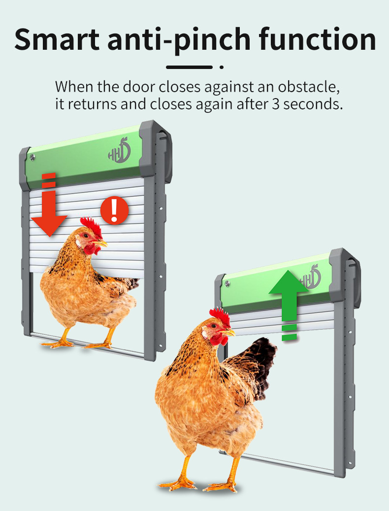 HHD Solar Powered Auto Chicken - Automatic Chicken Door Opener Solar ulasan dan harga