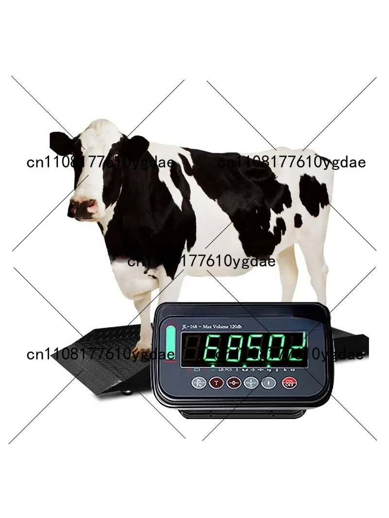 Controller 2 Ton Digital Weigh - Cattle Weighing Scale Digital ulasan dan harga