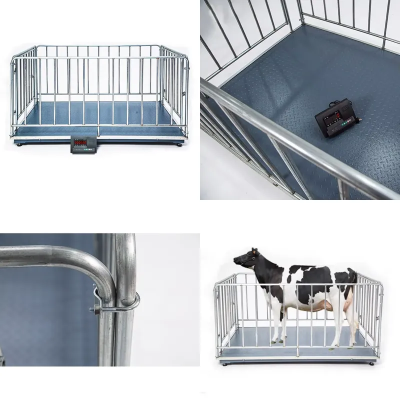 SFW  Certificate Cheap 1 Ton D - Cattle Weighing Scale Digital ulasan dan harga