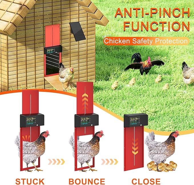 Automatic Chicken Door Opener  - Automatic Chicken Door Opener Solar ulasan dan harga