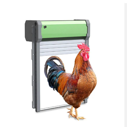 Automatic Chicken Coop Door So - Automatic Chicken Door Opener Solar ulasan dan harga