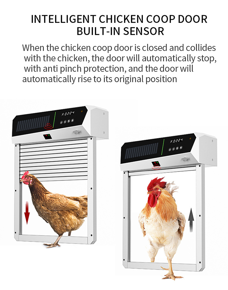 Automatic Chicken Coop Door Op - Automatic Chicken Door Opener Solar ulasan dan harga