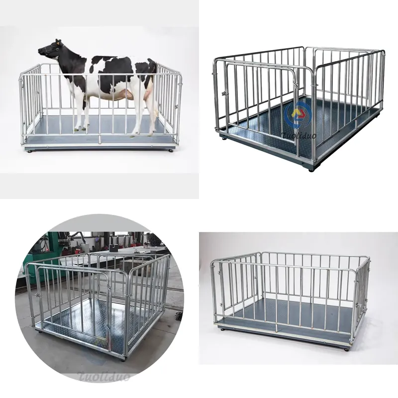 SFW  Certificate Cheap Price D - Cattle Weighing Scale Digital ulasan dan harga