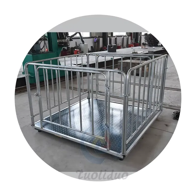 SFW  Certificate Cheap Price D - Cattle Weighing Scale Digital ulasan dan harga
