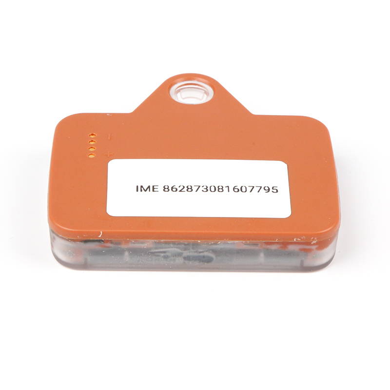 Solar GPS Ear Tag for Cattle S - Animal Gps Tracker 4G Solar ulasan dan harga