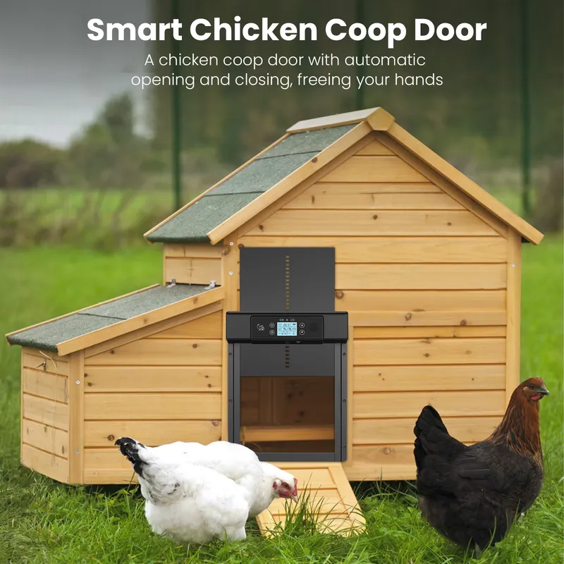 Smart Automatic Modern Waterpr - Automatic Chicken Door Opener Solar ulasan dan harga