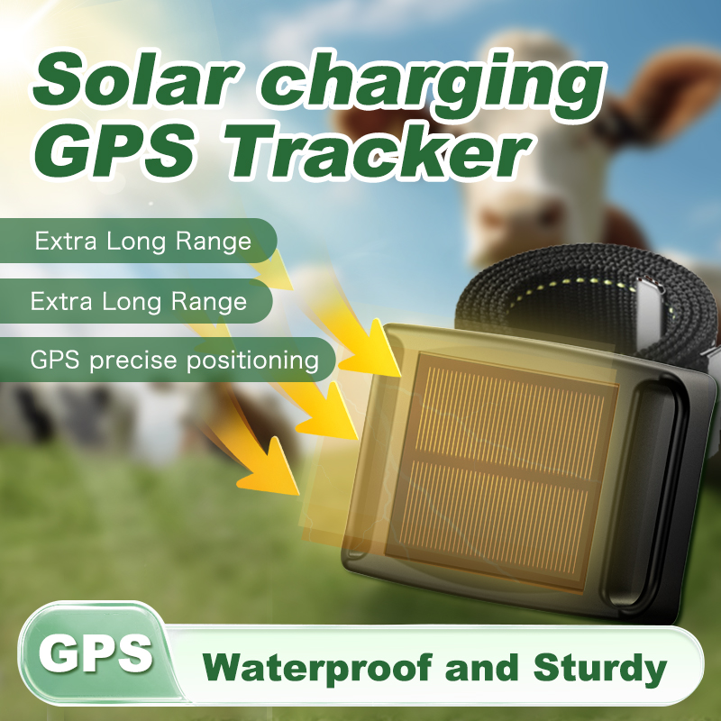20000mAh Solar GPS Tracker 4G  - Animal Gps Tracker 4G Solar ulasan dan harga